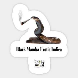 Black Mamba Exotic Indica Sticker